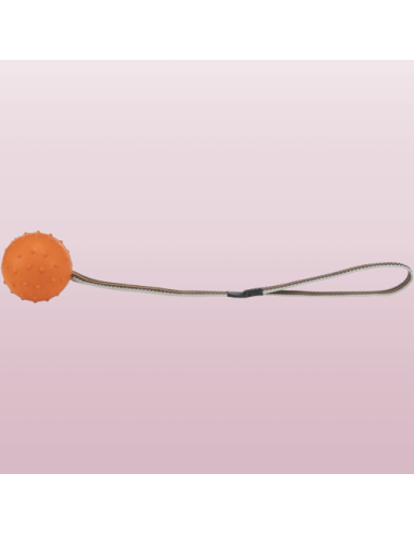 Palla Con Corda Sporting . Giochi Per Cani