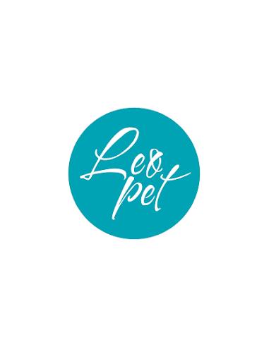 Gioco Riccio Multicolore. Giochi per cani