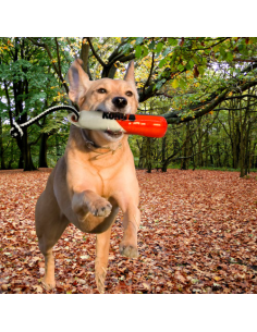 Kong Wild Shieldz Training Dummy  medium large. Giochi per cani .