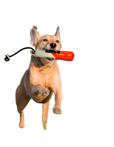 Kong Wild Shieldz Training Dummy  medium large. Giochi per cani .