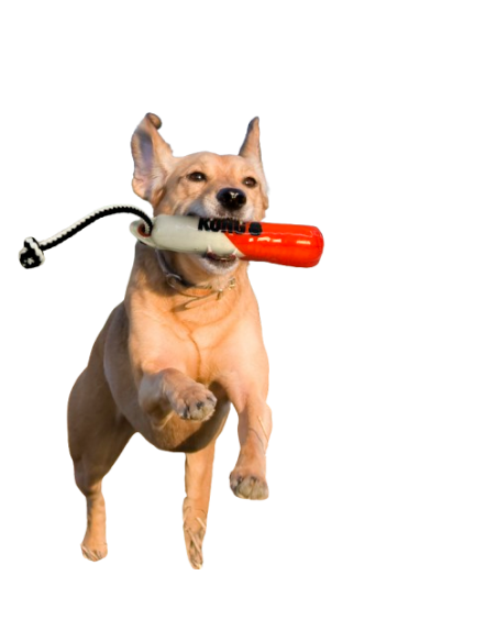 Kong Wild Shieldz Training Dummy  medium large. Giochi per cani .