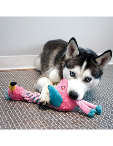 Kong Knots Twist Assortiti. Giochi per cani