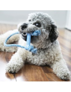 Kong Puppy Goodie Bone misura xsmall. Giochi per cani.