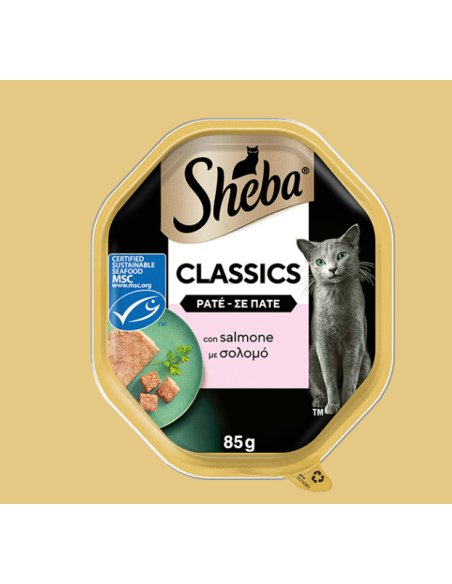 Sheba Con Salmone Patè Classic gr. 85. Cibo Umido Per Gatti