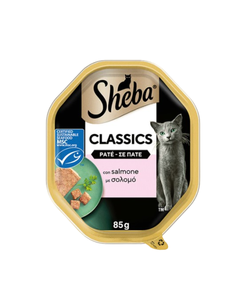 Sheba Con Salmone Patè Classic gr. 85. Cibo Umido Per Gatti