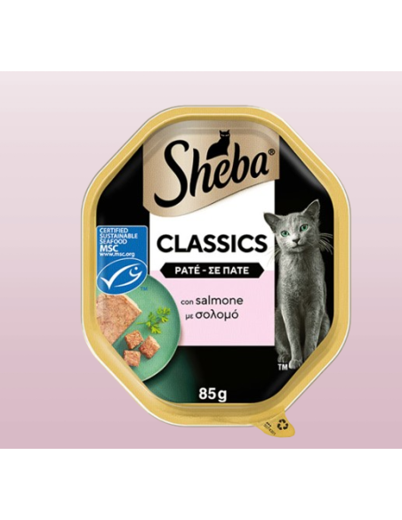 Sheba Con Salmone Patè Classic gr. 85. Cibo Umido Per Gatti