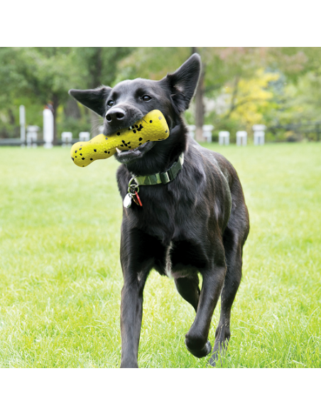 Kong Reflex Stick Giochi per cani .