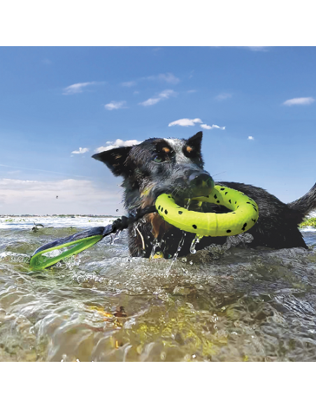 Kong Reflex Cerchio. Giochi per Cani