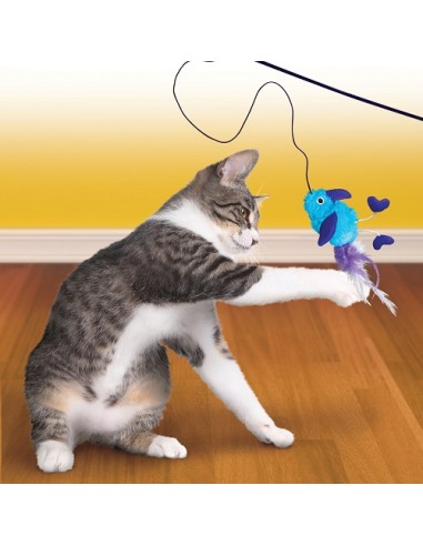 Kong Cat Active Feather Teaser assortiti. Giochi per gatti .