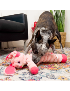 Kong Crumples Shakers Bunny xl. Giochi per cani .