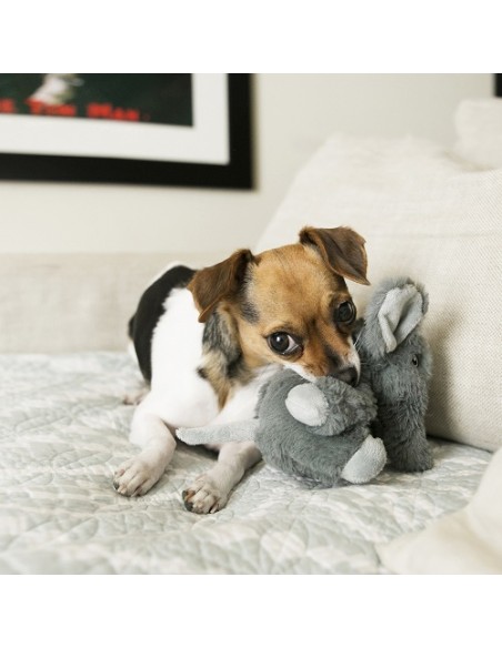 Kong Comfort Kiddos Elefante misura xsmall. Giochi per cani