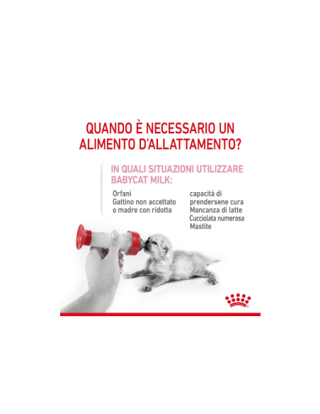 Baby Cat milk gr 300. Latte per cuccioli di gatto.