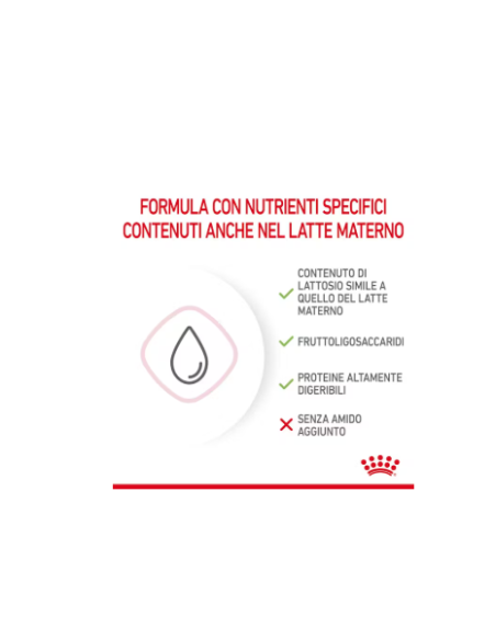 Baby Cat milk gr 300. Latte per cuccioli di gatto.