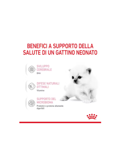 Baby Cat milk gr 300. Latte per cuccioli di gatto.