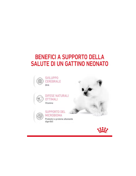 Baby Cat milk gr 300. Latte per cuccioli di gatto.