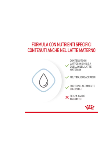 Baby Dog Milk A1 gr 400. Puppy.