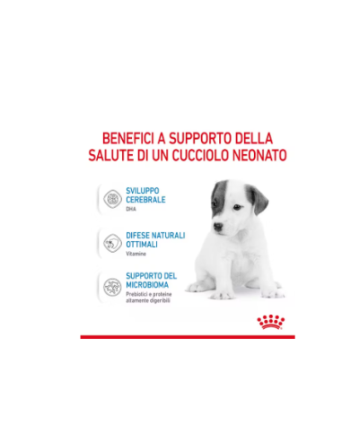 Baby Dog Milk A1 gr 400. Puppy.