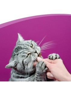 Whiskas Temptations Salmone gr 60 - Snack Per Gatti 2