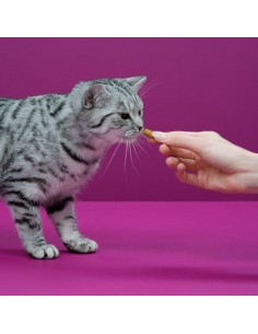 Whiskas Tempations Pollo gr 60. Snack Per Gatti. 2