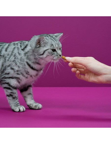 Whiskas Tempations Pollo gr 60. Snack Per Gatti.