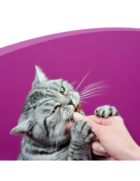 Whiskas Tempations Pollo gr 60. Snack Per Gatti.