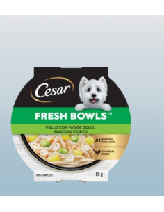 CESAR Fresh Bowls Pollo con Patate Dolci Fagiolini e orzo gr.85.Cibo Umido Per Cani .