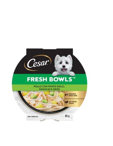 CESAR Fresh Bowls Pollo con Patate Dolci Fagiolini e orzo gr.85.Cibo Umido Per Cani .