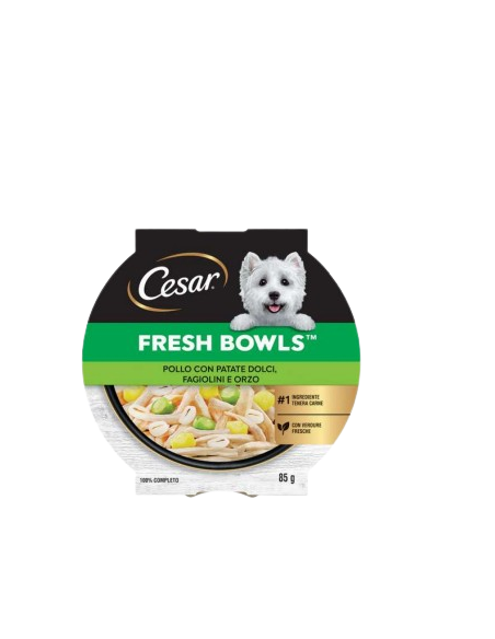 CESAR Fresh Bowls Pollo con Patate Dolci Fagiolini e orzo gr.85.Cibo Umido Per Cani .