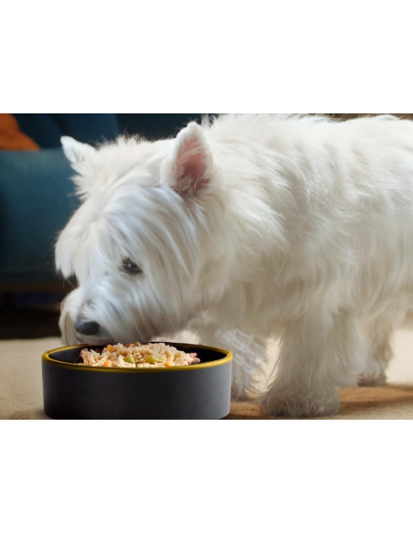 CESAR Fresh Bowls Pollo con Carote Fagiolini e Zucca gr.85. Cibo Umido per cani