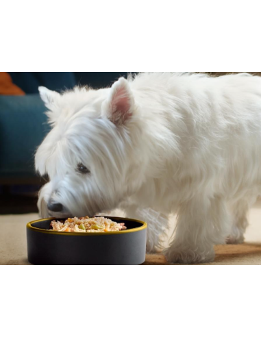 CESAR Fresh Bowls Anatra Riso Rosso Carote e Patate Viola  gr.85. Cibo Umido Per Cani