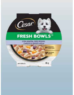 CESAR Fresh Bowls Anatra Riso Rosso Carote e Patate Viola  gr.85. Cibo Umido Per Cani