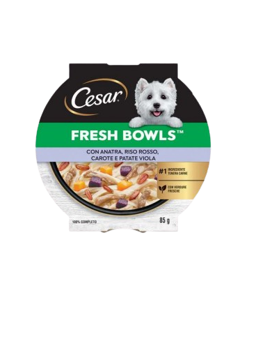 CESAR Fresh Bowls Anatra Riso Rosso Carote e Patate Viola  gr.85. Cibo Umido Per Cani