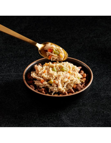 CESAR Fresh Bowls Pollo con Patate Dolci Fagiolini e orzo gr.85.Cibo Umido Per Cani .