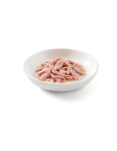 Schesir Tonnetto con Prosciutto Gr.70 Cibo Umido per Gatti