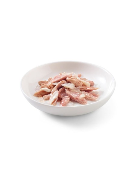 Schesir Cat Tonnetto con Gamberetti 6x50 Gr. Cibo Umido per Gatti Adulti Pelo Corto