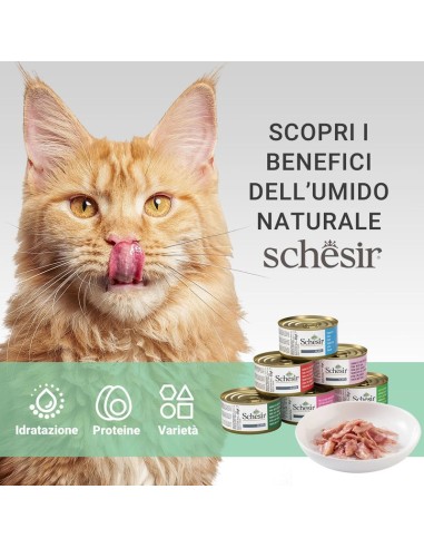 Schesir Tonnetto con Prosciutto 85 Gr. Cibo Umido per Gatti