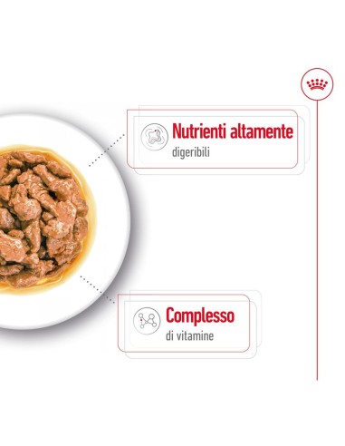 Royal Canin Wd Dog Mini Adult gr 85. Cibo Umido Per Cani.