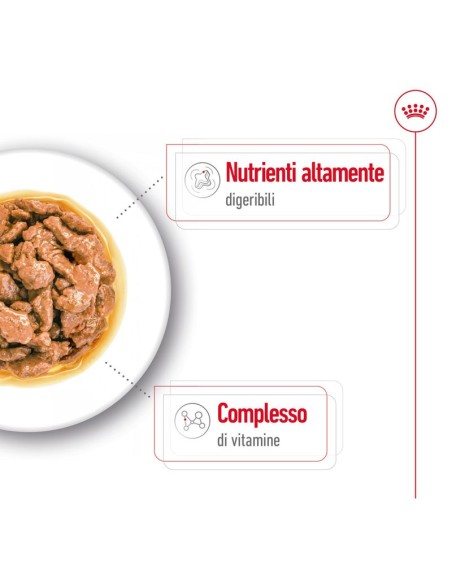 Royal Canin Wd Dog Mini Adult gr 85. Cibo Umido Per Cani.