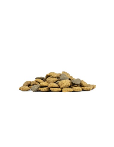 Forza 10 Intestinal Active kg 1,5. Diete . Cibo Secco per cani