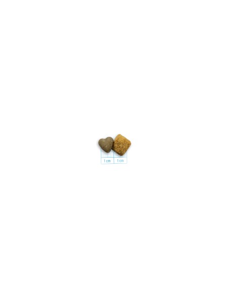Forza 10 Intestinal Active kg 1,5. Diete . Cibo Secco per cani