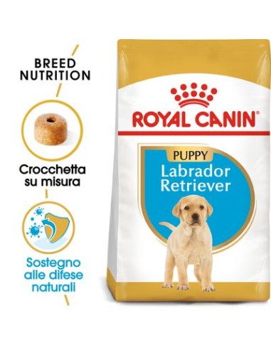 Royal Canin Labrador Puppy Kg 3. Puppy