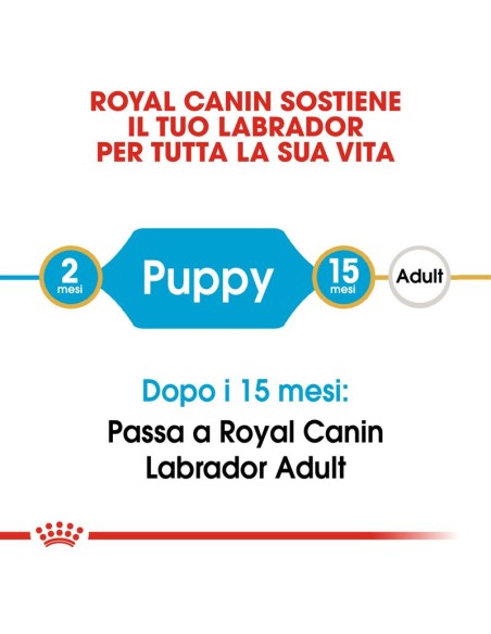 Royal Canin Labrador Puppy Kg 3. Puppy