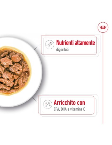 offerta XSmall Adult  Busta Gr.85 Royal Canin. Cibo Umido per cani