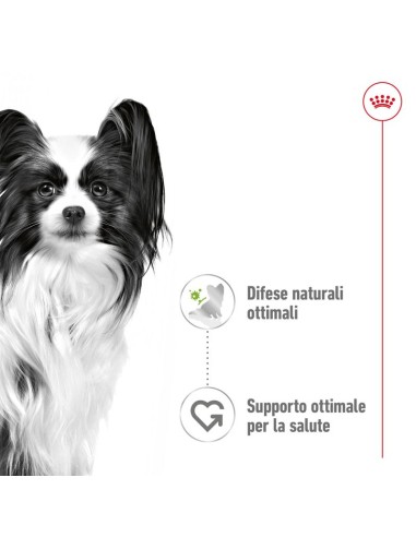 offerta XSmall Adult  Busta Gr.85 Royal Canin. Cibo Umido per cani