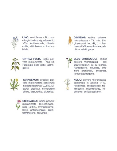 Vet Line Adulti Maiale Taglia Piccola kg.3.Crocchette per cani