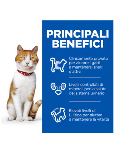 Hill's Busta Sterilizzato Pollo gr 85. Cibo Umido per gatti.