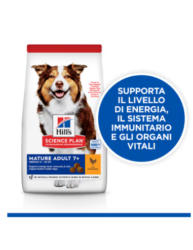 Hill's Canine Mature Senior kg 12. Crocchette per Cani