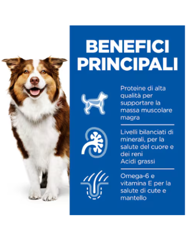 Hill's Canine Mature Senior kg 12. Crocchette per Cani