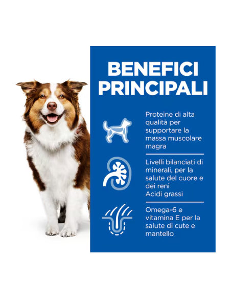 Hill's Canine Mature Senior kg 12. Crocchette per Cani