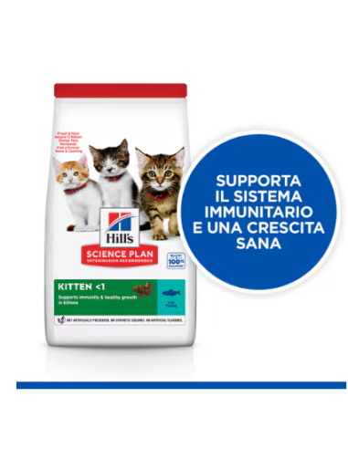 Hill's Feline Kitten tonno kg 1,5. Cibo per cuccioli di gatto .